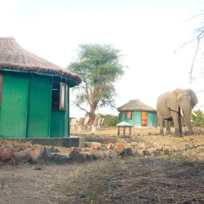 Ruaha Bandas 1